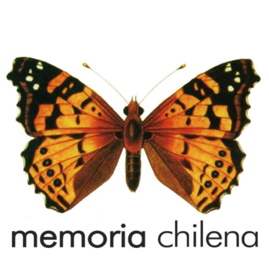 Prueba Puzzle