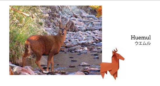 Huemul